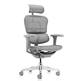hjh OFFICE Bürostuhl ergonomisch ERGOHUMAN Ultra...