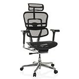 hjh OFFICE Bürostuhl ergonomisch ERGOHUMAN GEN2...